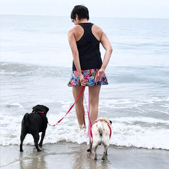 beach-pugs-home-page-350x.jpg